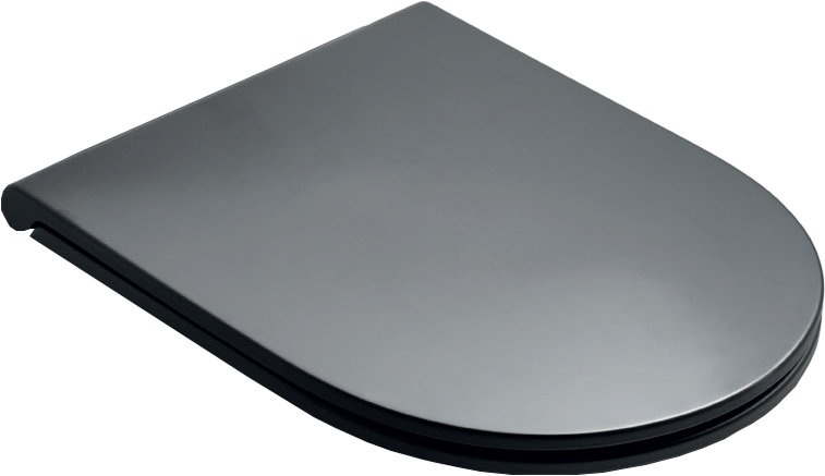 Унитаз подвесной Simas Trevi TR 18 black matt безободковый, с микролифтом, матовый черный