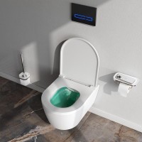 Унитаз подвесной AM.PM Func C8F1700MWSC безободковый, с микролифтом, матовый белый