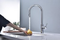 Смеситель для кухни Paulmark Galant Ga213077-CR хром