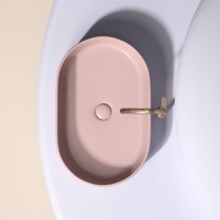 Накладная раковина Ceramicanova Element CN6048MP розовая матовая