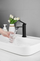 Смеситель для раковины BELZ B812 B10812-7 черный Смеситель для раковины BELZ B812 B10812-7 черный