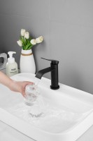 Смеситель для раковины BELZ B812 B10812-7 черный Смеситель для раковины BELZ B812 B10812-7 черный