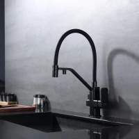 Смеситель для кухни с подключением фильтра Raglo R85.62.06, черный Смеситель для кухни с подключением фильтра Raglo R85.62.06, черный