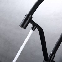 Смеситель для кухни с подключением фильтра Raglo R85.62.06, черный Смеситель для кухни с подключением фильтра Raglo R85.62.06, черный