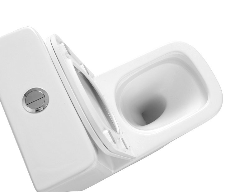 Унитаз-компакт напольный AZARIO Terra AZ-6003-A безободковый, с микролифтом, глянцевый белый