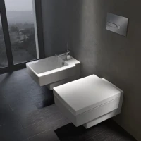 Унитаз подвесной Jacob Delafon Terrace EDA102 с микролифтом Унитаз подвесной Jacob Delafon Terrace EDA102 с микролифтом
