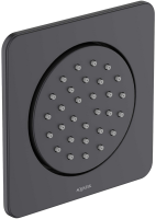 Душевая форсунка AQUATEK AQ2099MB матовая черная