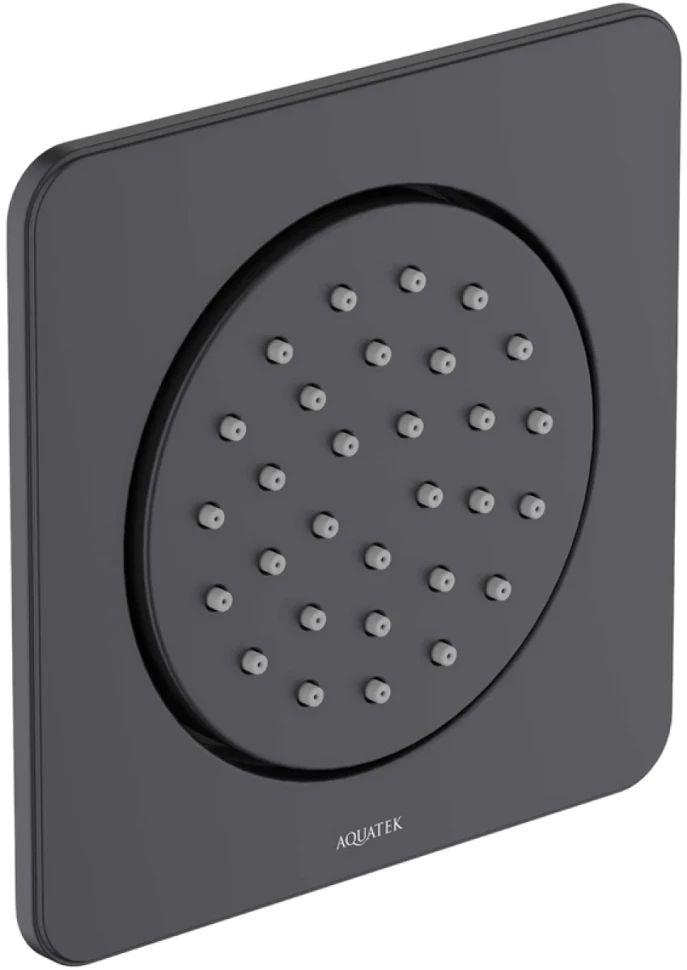 Душевая форсунка AQUATEK AQ2099MB матовая черная