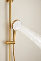 Душевая стойка BELZ B813 B24813-5 матовое золото