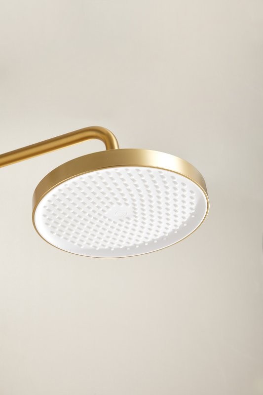 Душевая стойка BELZ B813 B24813-5 матовое золото