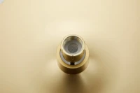 Душевая стойка BELZ B813 B24813-5 матовое золото Душевая стойка BELZ B813 B24813-5 матовое золото
