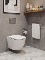 Унитаз подвесной CHARUS Berta EWC700-120WT