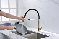 Смеситель для кухни Paulmark Halt Ha214021-G золото, с гибким изливом