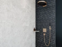 Душевая лейка Hansgrohe Rainfinity 100 26866140 шлифованная бронза