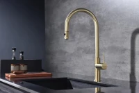 Смеситель для кухни Paulmark Galant Ga213077-SBG светлое брашированное золото Смеситель для кухни Paulmark Galant Ga213077-SBG светлое брашированное золото