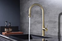 Смеситель для кухни Paulmark Galant Ga213077-SBG светлое брашированное золото