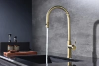 Смеситель для кухни Paulmark Galant Ga213077-SBG светлое брашированное золото Смеситель для кухни Paulmark Galant Ga213077-SBG светлое брашированное золото