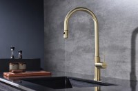 Смеситель для кухни Paulmark Galant Ga213077-SBG светлое брашированное золото