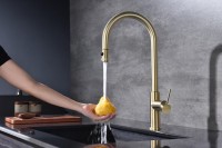 Смеситель для кухни Paulmark Galant Ga213077-SBG светлое брашированное золото