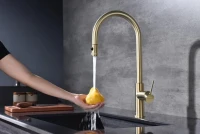 Смеситель для кухни Paulmark Galant Ga213077-SBG светлое брашированное золото Смеситель для кухни Paulmark Galant Ga213077-SBG светлое брашированное золото