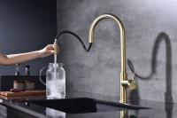 Смеситель для кухни Paulmark Galant Ga213077-SBG светлое брашированное золото
