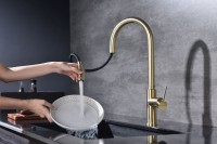 Смеситель для кухни Paulmark Galant Ga213077-SBG светлое брашированное золото