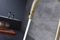 Смеситель для кухни Paulmark Galant Ga213077-SBG светлое брашированное золото