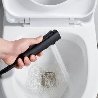 Гигиенический душ Shevanik S6105H-1 со смесителем, черный