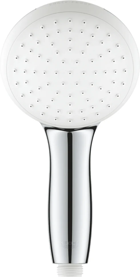 Душевая лейка Grohe Tempesta 27852003 хром