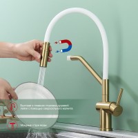 Смеситель для кухни со съемным изливом на магните Raglo R86.41.03, золотой сатин