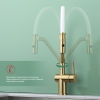 Смеситель для кухни со съемным изливом на магните Raglo R86.41.03, золотой сатин