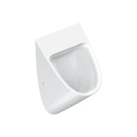 Писсуар подвесной Catalano Comfort 0932540001 глянцевый белый Писсуар подвесной Catalano Comfort 0932540001 глянцевый белый