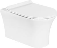Унитаз подвесной BelBagno Ancona BB1224CHR-SM безободковый, с микролифтом