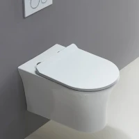 Унитаз подвесной BelBagno Ancona BB1224CHR-SM безободковый, с микролифтом