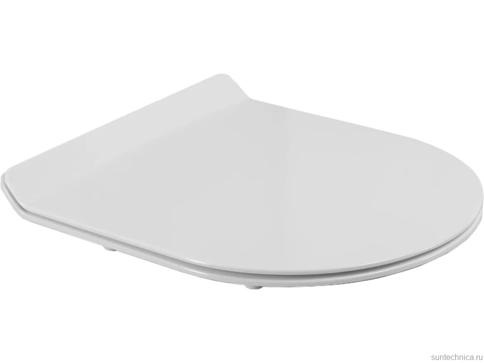 Унитаз подвесной BelBagno Ancona BB1224CHR-SM безободковый, с микролифтом