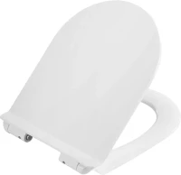 Унитаз подвесной BelBagno Ancona BB1224CHR-SM безободковый, с микролифтом