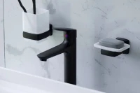 Смеситель для раковины Damixa Jupiter 770250301 черный Смеситель для раковины Damixa Jupiter 770250301 черный