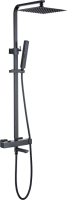 Душевая стойка Allen Brau Infinity 5.21029-31 черный матовый