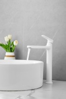 Смеситель для раковины BELZ B713 B11713-8 белый Смеситель для раковины BELZ B713 B11713-8 белый