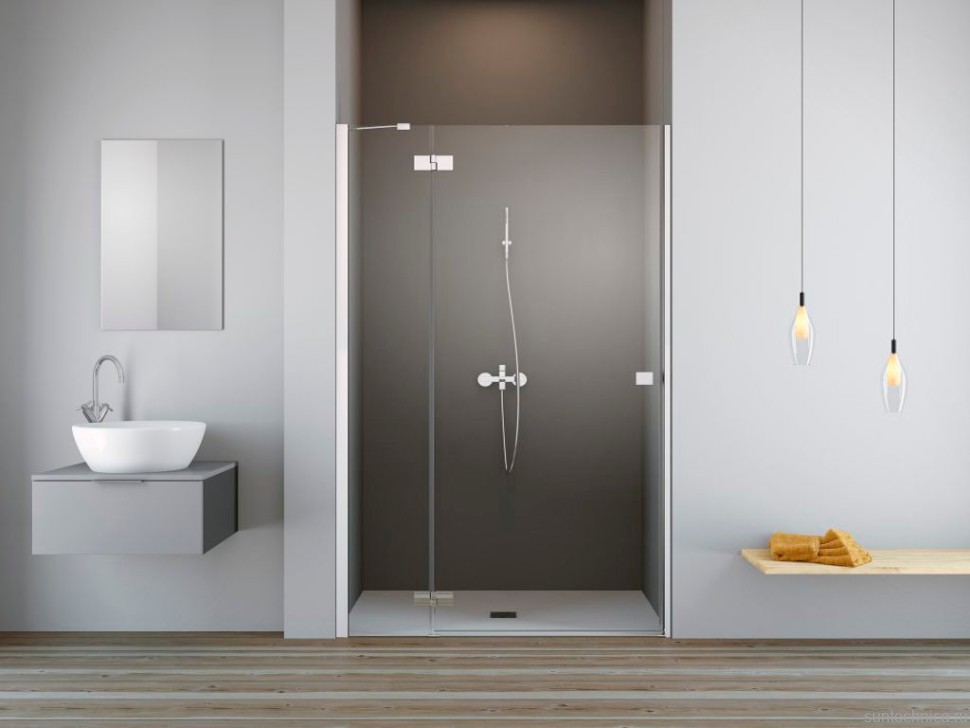 Душевая дверь в нишу Radaway Essenza New DWJ 120 L