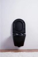 Унитаз подвесной Esbano Azalea ESUPAZALBM черный матовый Унитаз подвесной Esbano Azalea ESUPAZALBM черный матовый