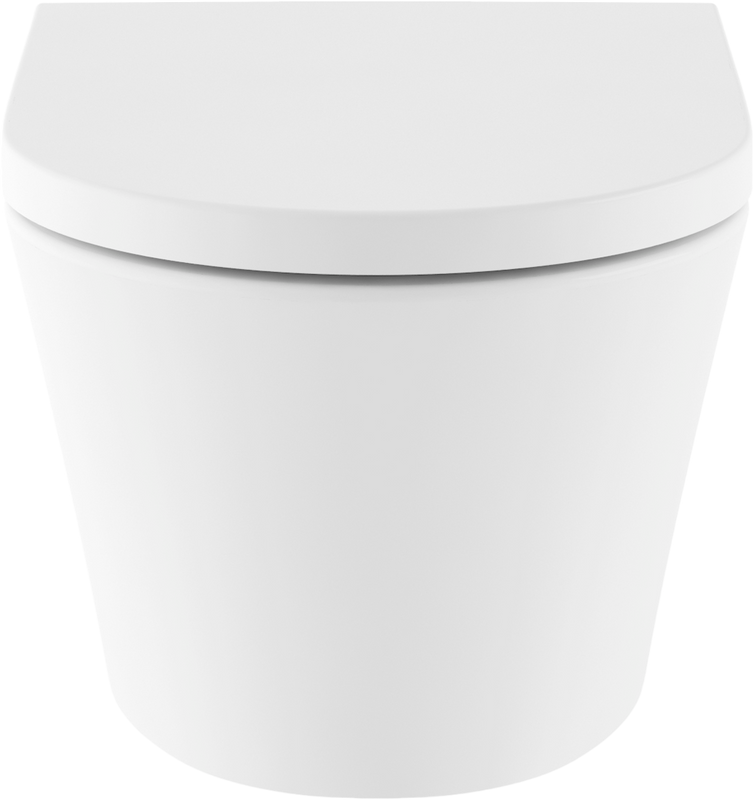 Унитаз подвесной Lavinia Boho Biore Rimless 3304003R безободковый, с микролифтом