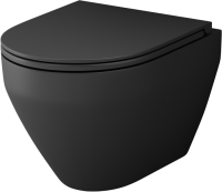 Комплект AM.PM Spirit V2.0 IS49051.701700MB с сиденьем микролиф