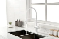 Смеситель для кухни Gravity, белый матовый, Gr213888-WH, Starke-Paulmark Смеситель для кухни Gravity, белый матовый, Gr213888-WH, Starke-Paulmark