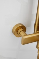 Душевая стойка BELZ B812 B24812-5 брашированное золото