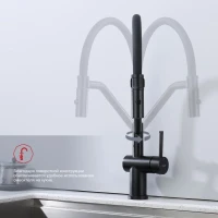 Смеситель для кухни со съемным изливом на магните Raglo R86.41.06, черный Смеситель для кухни со съемным изливом на магните Raglo R86.41.06, черный