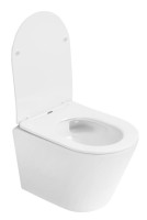 Унитаз подвесной Boheme Avva 973-SET-W