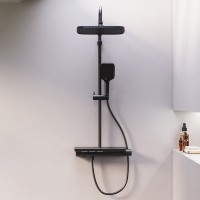 Душевая стойка Damixa Gala 953760300 черная матовая