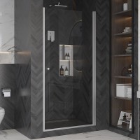 Душевая дверь в нишу Ambassador Elysium 111011111CX 100 см