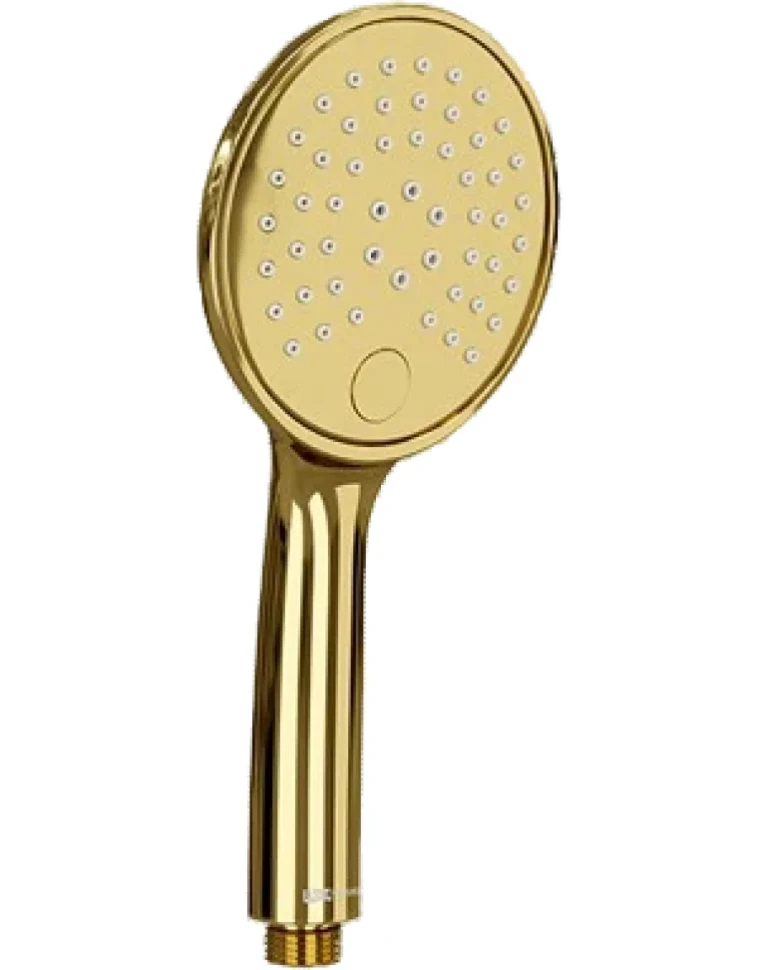 Душевая лейка Wasserkraft Sauer A207